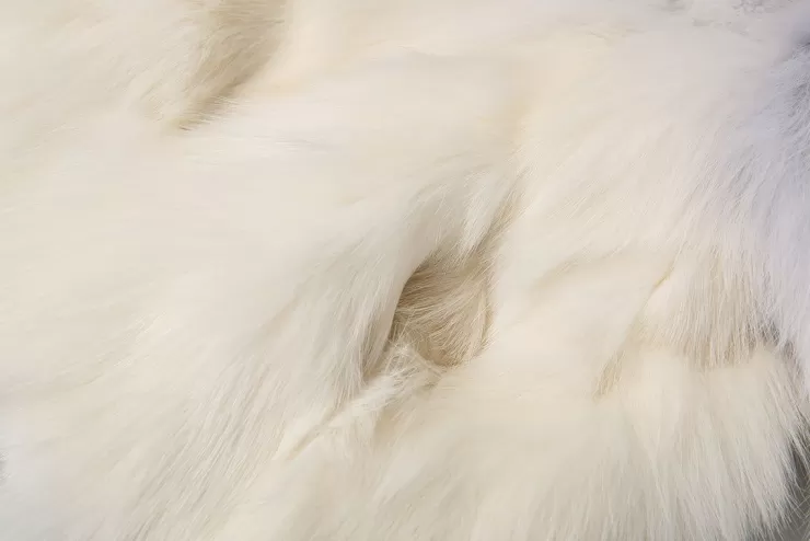Ozlana Sunrise Gradient Cropped Buckle Neck Fox Fur Jacket (Blue Gradient) | Women Full Fur Jackets
